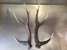 Naturally shed matched for sale  Channahon