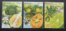Usado, *FRETE GRÁTIS Malásia Citrus 2018 Frutas Pomelo Flor Planta (carimbo) MNH comprar usado Usado, *FRETE GRÁTIS Malásia Citrus 2018 Frutas Pomelo Flor Planta (carimbo) MNH comprar usado  Enviando para Brazil