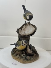 Rare arden bird for sale  NORWICH