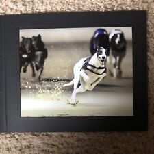 Greyhound photographs cardboar for sale  ATHERSTONE