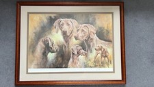 Mick cawston weimaraners for sale  OXFORD