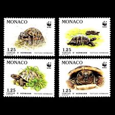Monaco 1991 endangered for sale  Fort Lauderdale