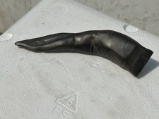Reptile raptor fossil for sale  Clearfield