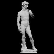 Statua scultura david usato  San Marco Evangelista