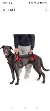 Doggie stylz multi for sale Doggie stylz multi for sale  SALFORD