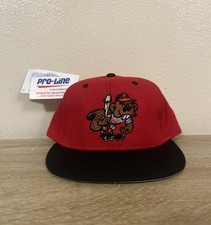 Vintage portland beavers for sale  Springfield