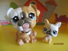 Petshop duo maman d'occasion  Saint-Omer
