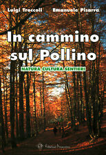 Cammino sul pollino usato Cammino sul pollino usato  Cambiago