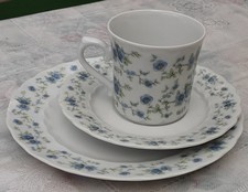 Eschenbach vergissmeinnicht ka gebraucht kaufen  Müden