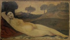 Venere dormiente giorgione usato  Ivrea