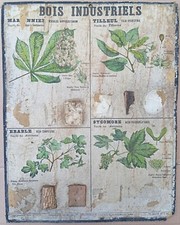 Rare ancienne affiche d'occasion  Lyon VII