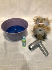American girl yorkie for sale  Aurora