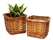 Square wicker planter for sale  Kenosha