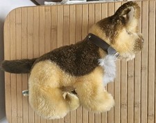 Scooter german shepherd for sale  LOUGHBOROUGH