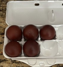 Black copper maran for sale  Palmdale