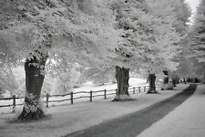 Nikon d70 infrared for sale  SHOREHAM-BY-SEA