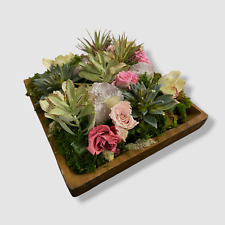 Floral company succulents for sale  USA