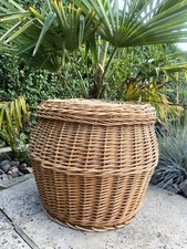 Vintage rustic cane for sale  MACCLESFIELD