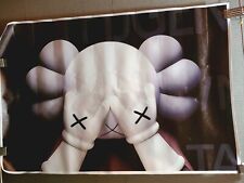 Kaws hyperbeast 11.5 for sale  Laredo