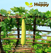 Vegetable seeds gourd for sale  DONCASTER