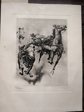 Bulldogging r.h. palenske for sale  Fort Worth