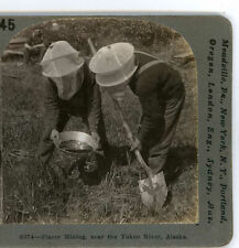 Gold miners digging for sale  Bolton