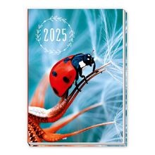 Trötsch taschenkalender marie gebraucht kaufen  Berlin