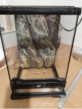 tall terrarium for sale  BRISTOL