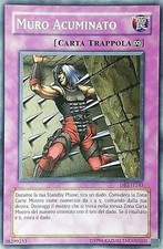 Muro acuminato comune usato  Calcinaia