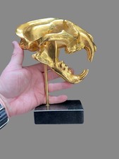 Gold leopard skull for sale  RETFORD