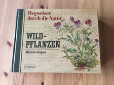 Buch wegweiser durch gebraucht kaufen  Quickborn