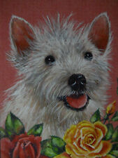 White terrier mix for sale  East Stroudsburg