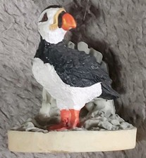 puffin for sale puffin for sale BRIDLINGTON