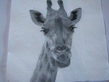 Lose servietten giraffe gebraucht kaufen Lose servietten giraffe gebraucht kaufen  Lippetal