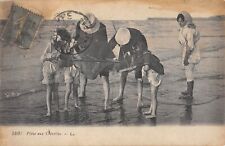 Old postcard shrimp d'occasion  Expédié en Belgium