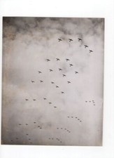 Foto de imprensa de aviões de guerra britânicos nos céus da Segunda Guerra Mundial  comprar usado  Enviando para Brazil