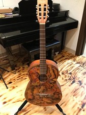 Fender classical guitar for sale  Clermont