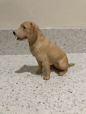 North light labrador for sale  HAVERFORDWEST