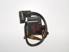 Bobina accensione elettronica usato  Italia