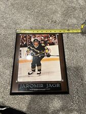 Pittsburgh penguins jaromir for sale  Bridgeville