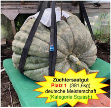 Samen 381 6kg gebraucht kaufen  Fürstenzell