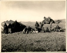 GA294 Aprox 1920 Foto Original Um ACAMPAMENTO BEDUÍNO NA FAMÍLIA SÍRIA TENDA E CAMELO comprar usado  Enviando para Brazil