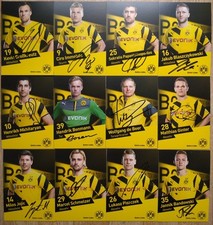 Borussia dortmund 2014 gebraucht kaufen  Dortmund
