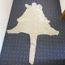 Echtes fell känguru gebraucht kaufen  München