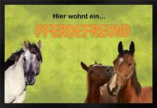 Fußmatte schmutzfangmatte pfe gebraucht kaufen  Limbach-Oberfrohna