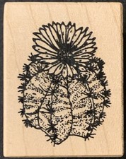 Toybox barrel cactus for sale  Las Vegas