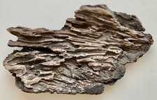 Stunning artistic driftwood for sale  San Jose