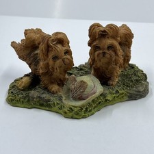Yorkshire terrier puppies for sale  San Tan Valley