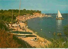 Ile ré portes d'occasion  Expédié en Belgium