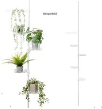 Bremermann teleskop blumenrega gebraucht kaufen  Rödermark